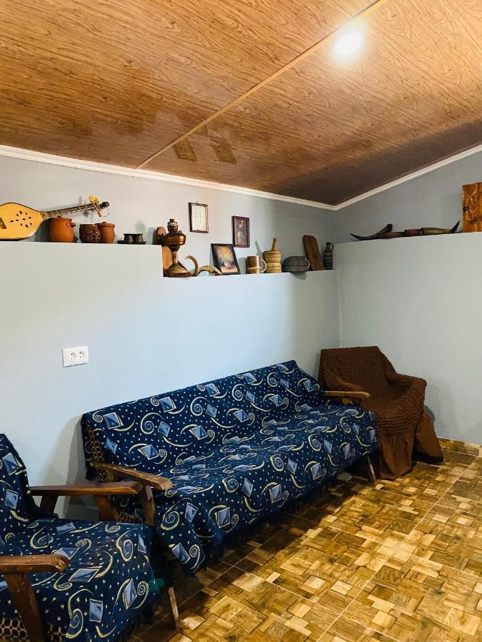 Mamuka'S Guesthouse Udabno 外观 照片