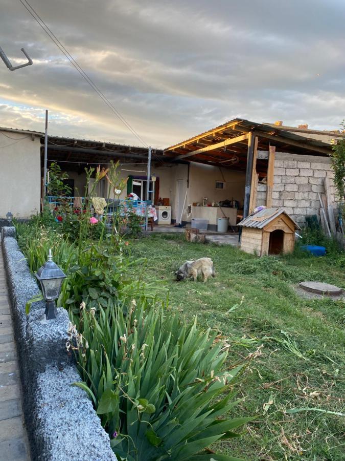Mamuka'S Guesthouse Udabno 外观 照片