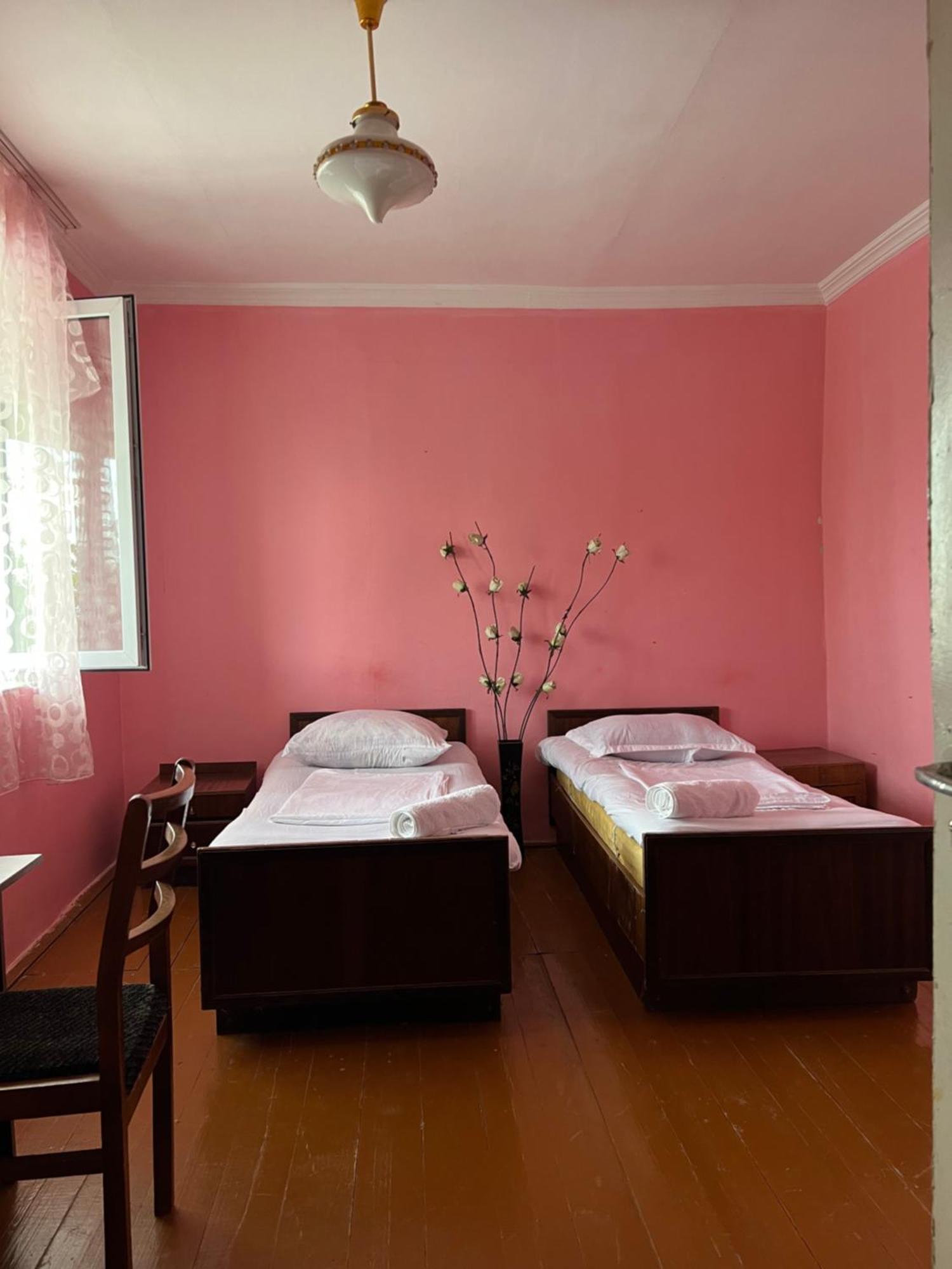 Mamuka'S Guesthouse Udabno 外观 照片