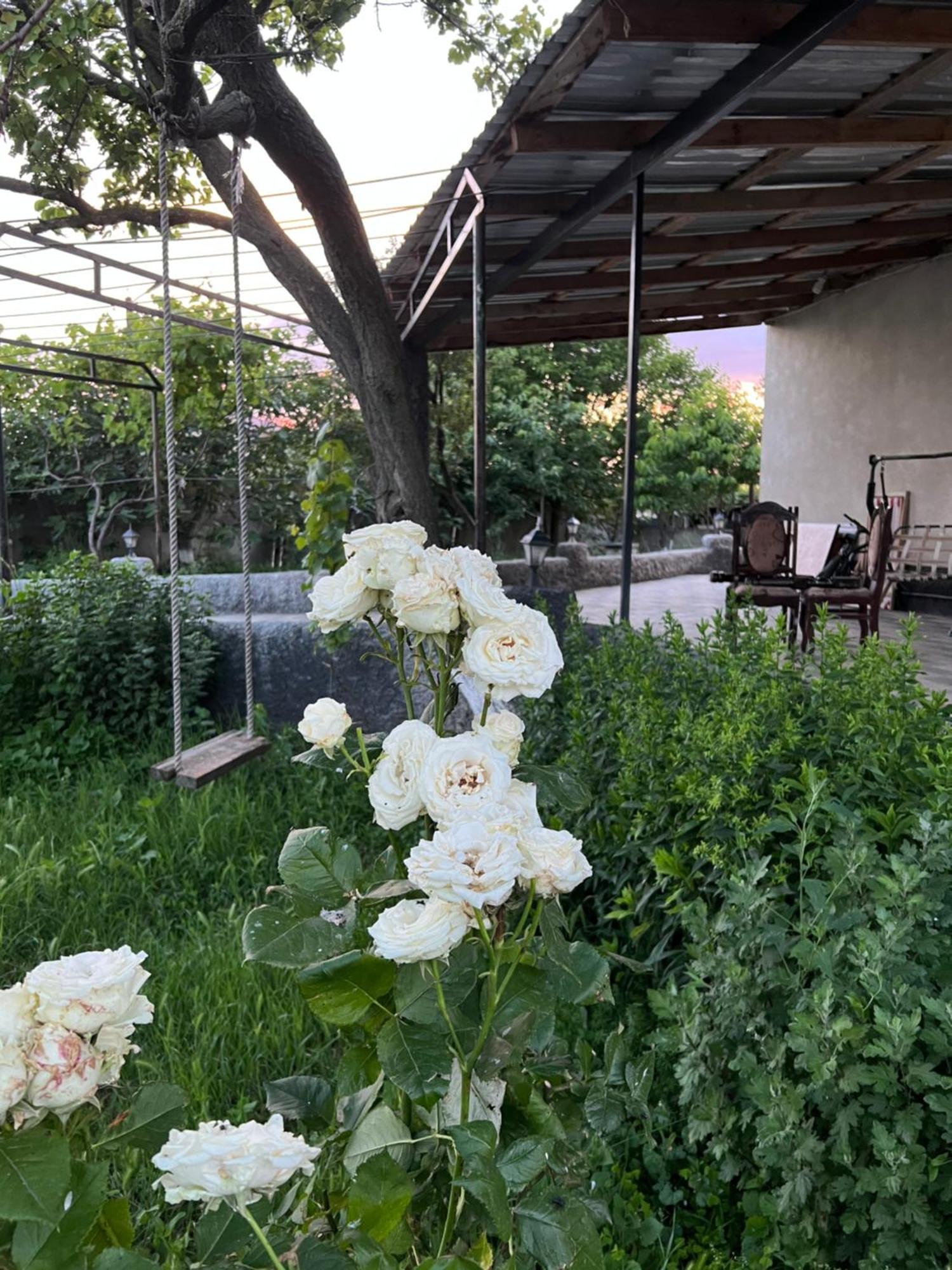 Mamuka'S Guesthouse Udabno 外观 照片