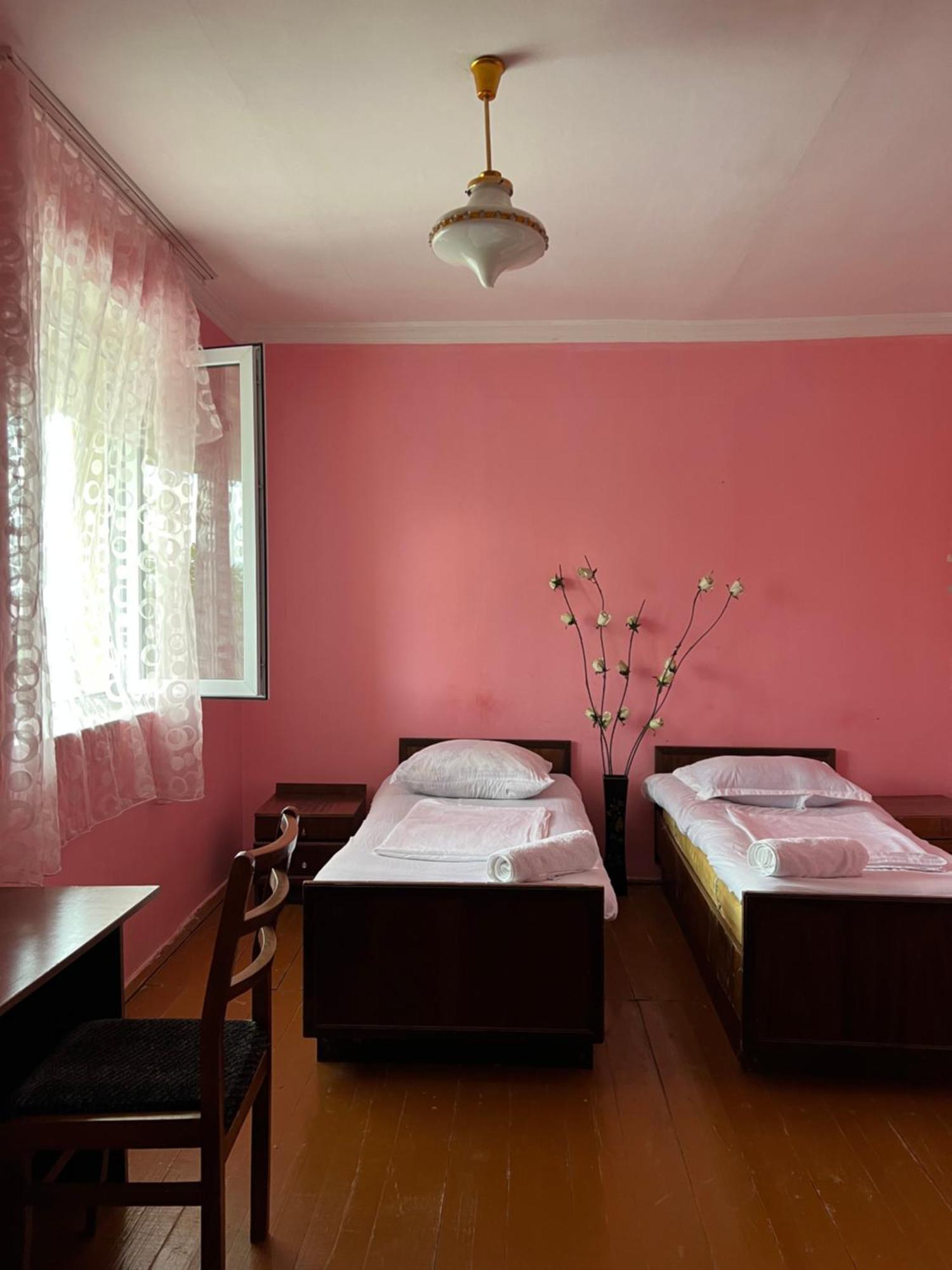 Mamuka'S Guesthouse Udabno 外观 照片