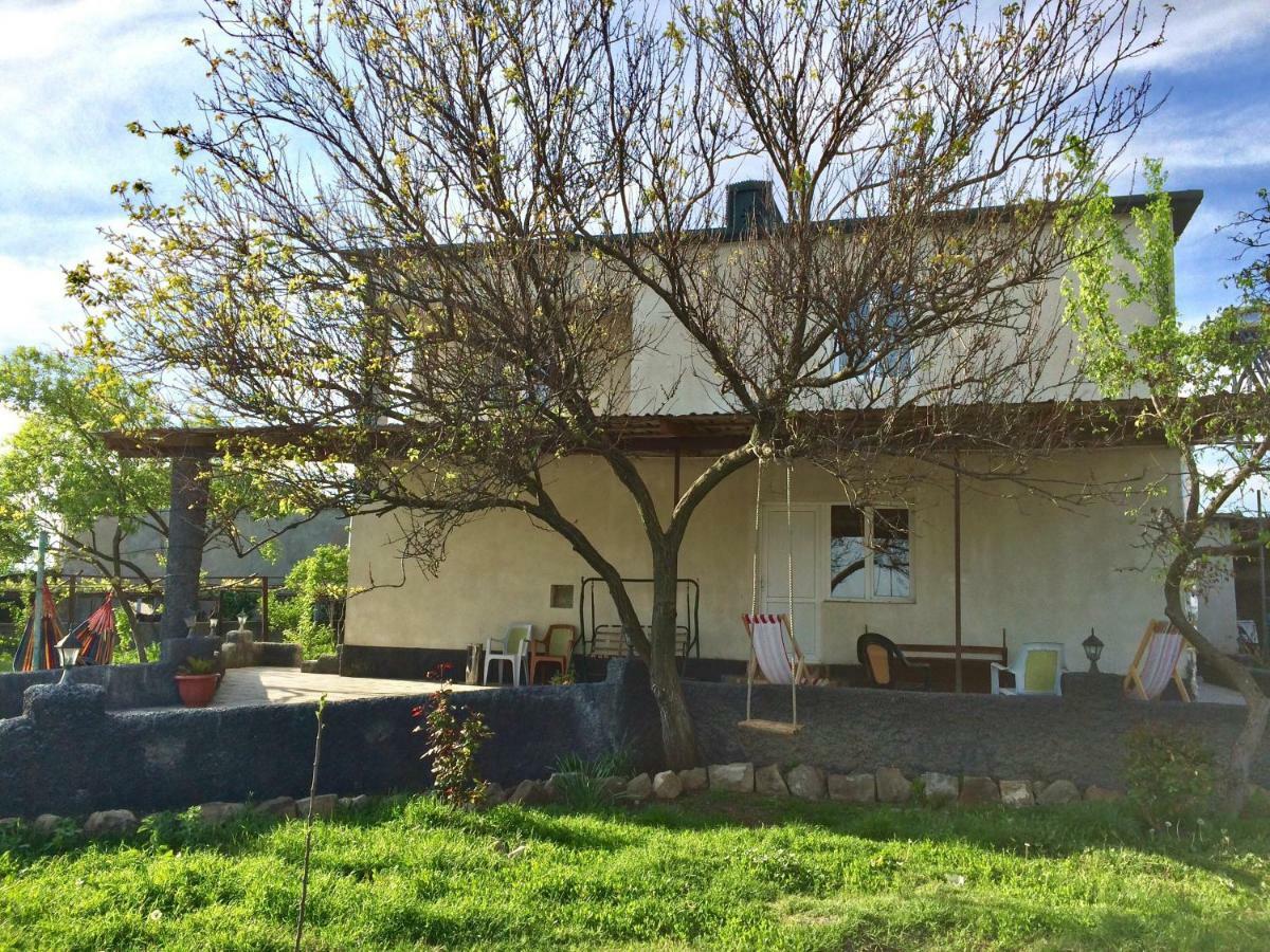 Mamuka'S Guesthouse Udabno 外观 照片